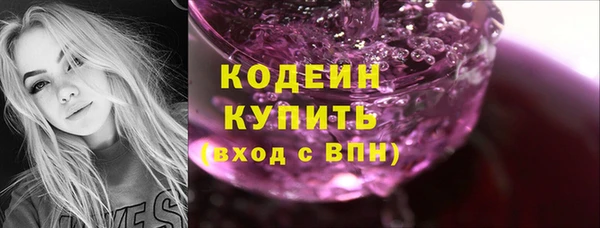 дживик Пестово