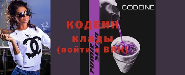 дживик Пестово