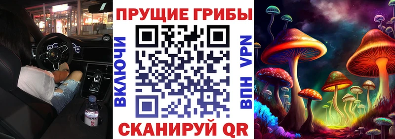 дарнет шоп  Ленск  Галлюциногенные грибы GOLDEN TEACHER 